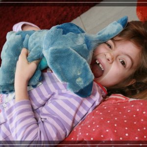 comp IMG 9259