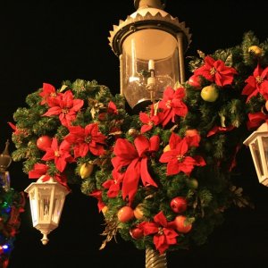 Beitrag 17