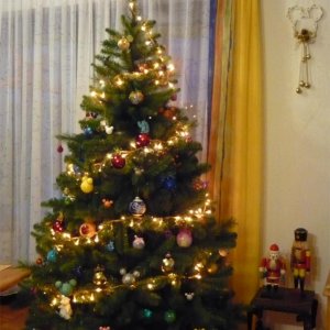 Mein Weihnachtsbaum