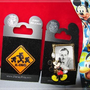 Pins und Lanyard aus WDW