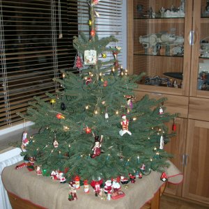 Baum1