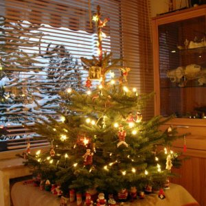 Baum2