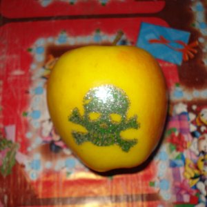 MDSC06926
