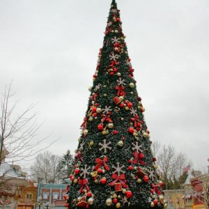 baum2412
