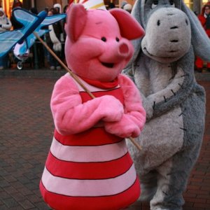 Pünktlich zur Once Upon a Dream Parade waren wir im Park