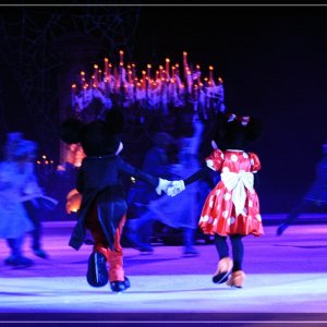 comp IMG 9891