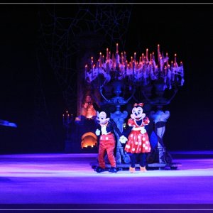 comp IMG 9892