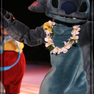 comp IMG 9922