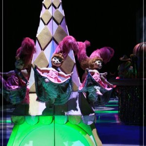 comp IMG 9971