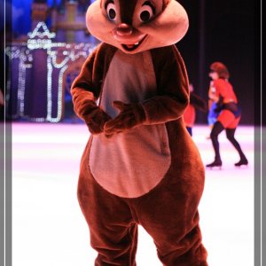comp IMG 0061