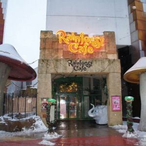 rainforest cafe