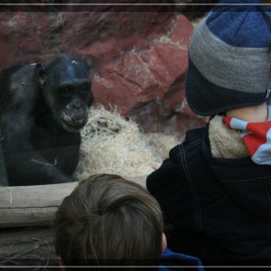 comp IMG 0280