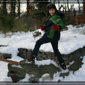 comp IMG 0273