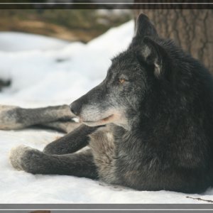 comp IMG 0254