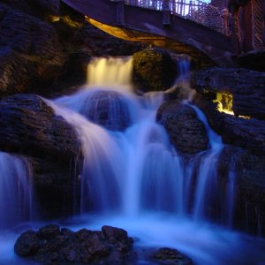 DSC00530