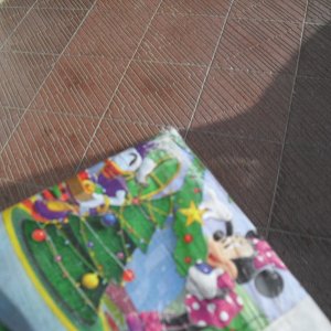 CIMG5991
