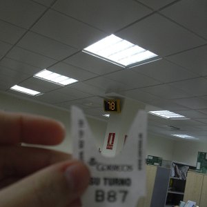 CIMG5984