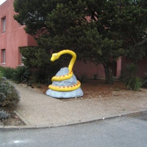 [No title]