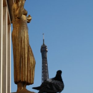 Paris, baby...