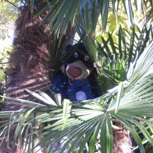 Disneyland 10.2010 (406)