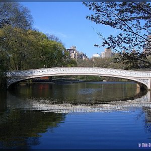 usa01 08