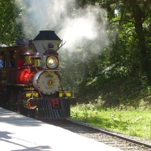 Beitrag 11