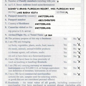 Ausgefülltes US-Zollformular