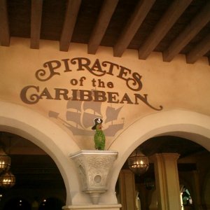 WDW Reise November 2004