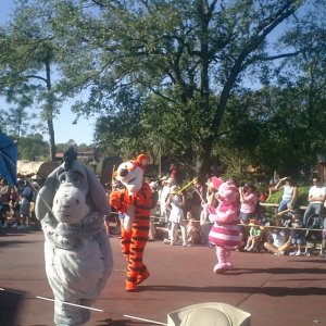 WDW Reise November 2004