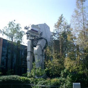 WDW Reise November 2004