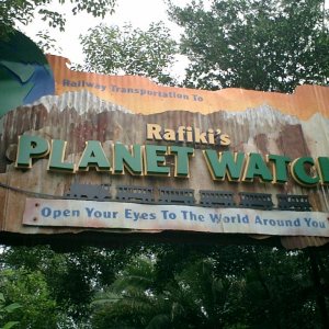 WDW Reise November 2004