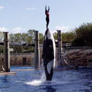 WDW Reise November 2004