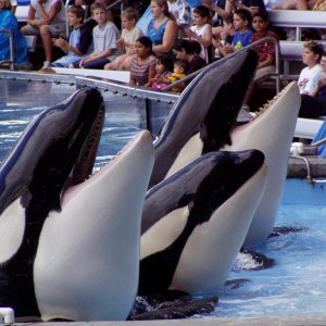 WDW Reise November 2004