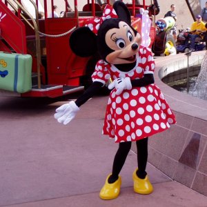 WDW Reise November 2004