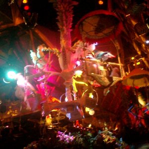 WDW Reise November 2005