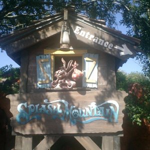 WDW Reise November 2005