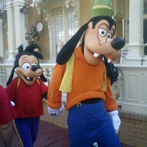 WDW Reise November 2005