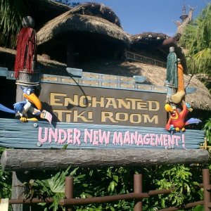 WDW Reise November 2005