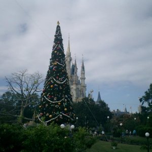 WDW Reise November 2005