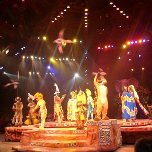 WDW Reise November 2005