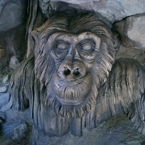 WDW Reise November 2005