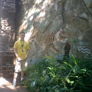 WDW Reise November 2005