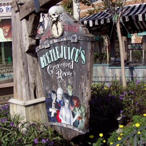 WDW Reise November 2005