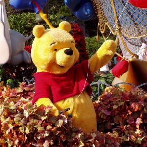 WDW Reise November 2005