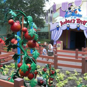 WDW Reise 1 15 Mai 2007