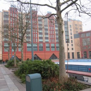 IMG 0534