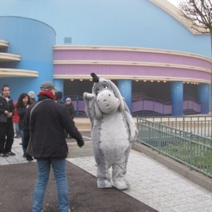 IMG 0552