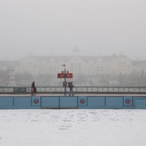 IMG 0535
