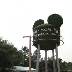 WDW Reise 1 15 Mai 2007