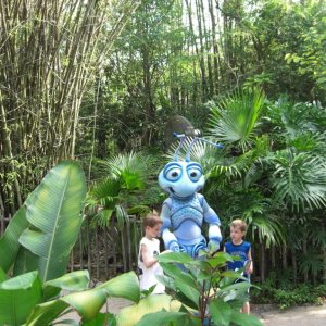 WDW Reise 1 15 Mai 2007